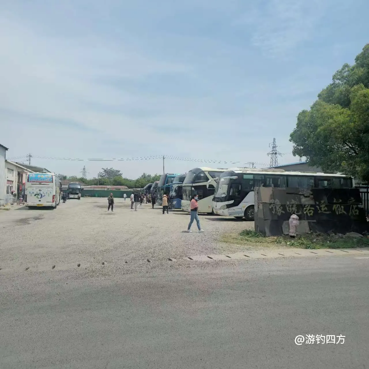 客运公司开始收割