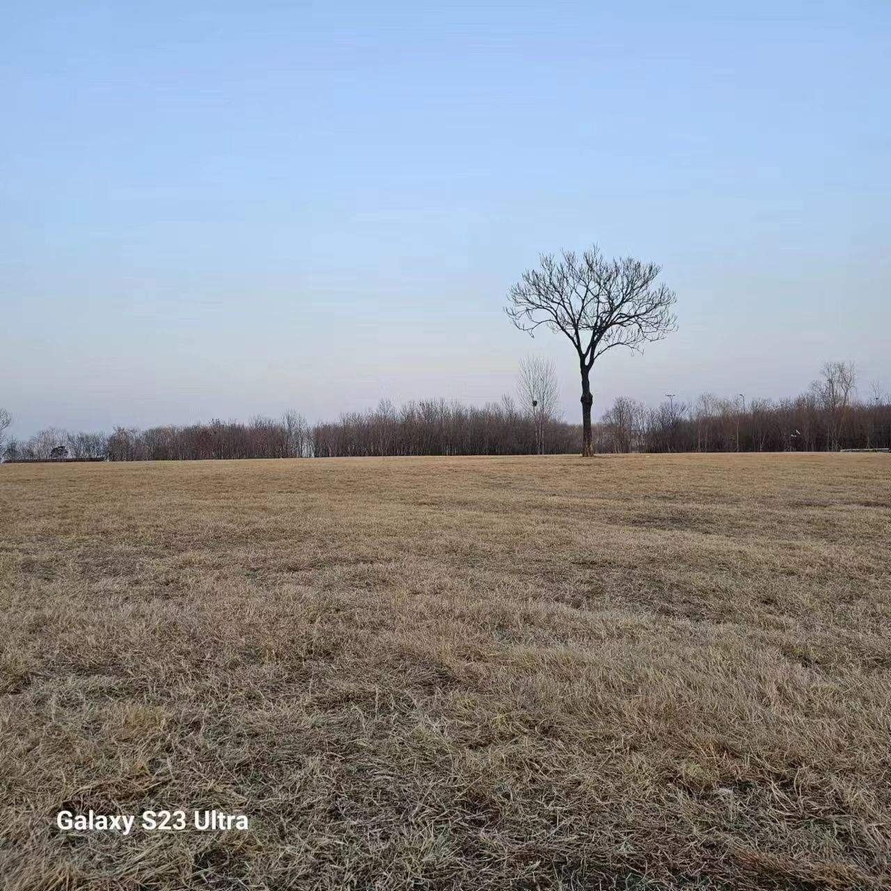 弦歌东路 不知名湿地公园 弦歌东路 不知名湿地公园