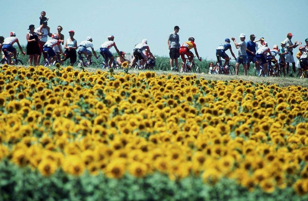 1998年环法路过一片向日葵地