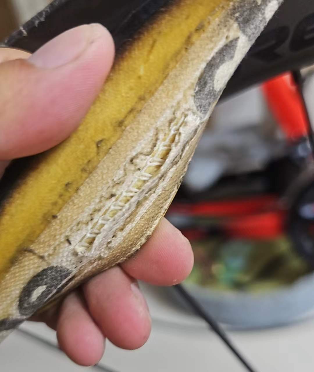 解刨管胎 解刨管胎