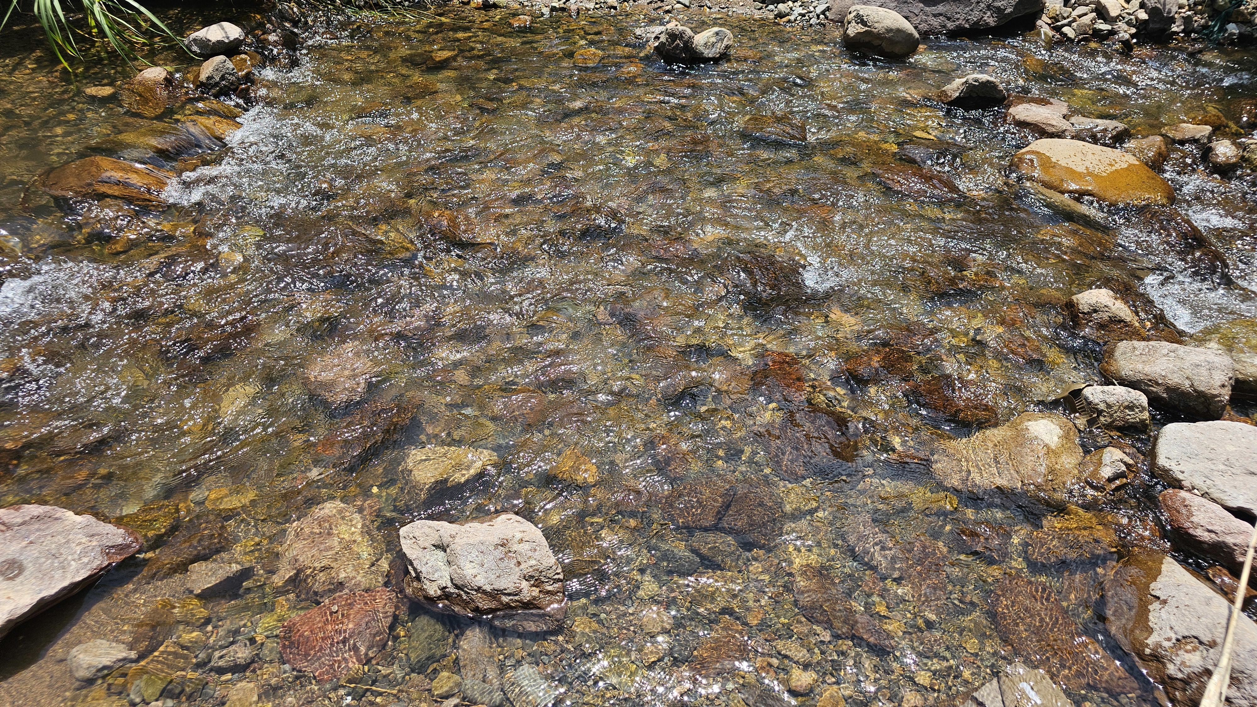 一级山泉水 一级山泉水