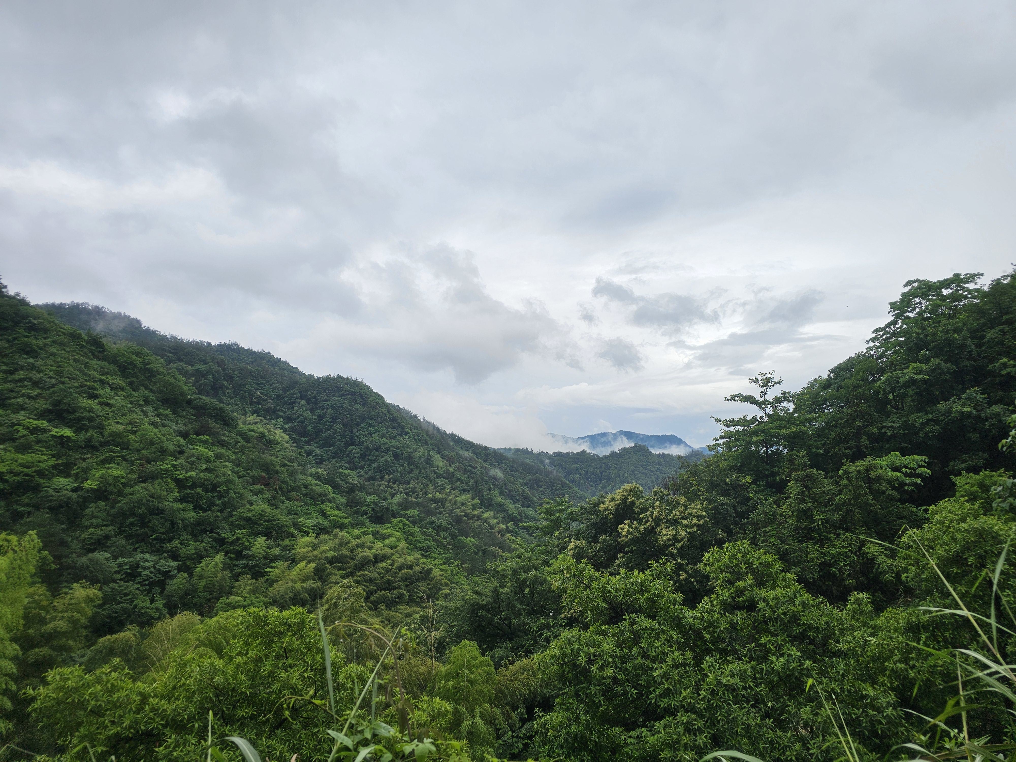 暴雨骤停 暴雨骤停