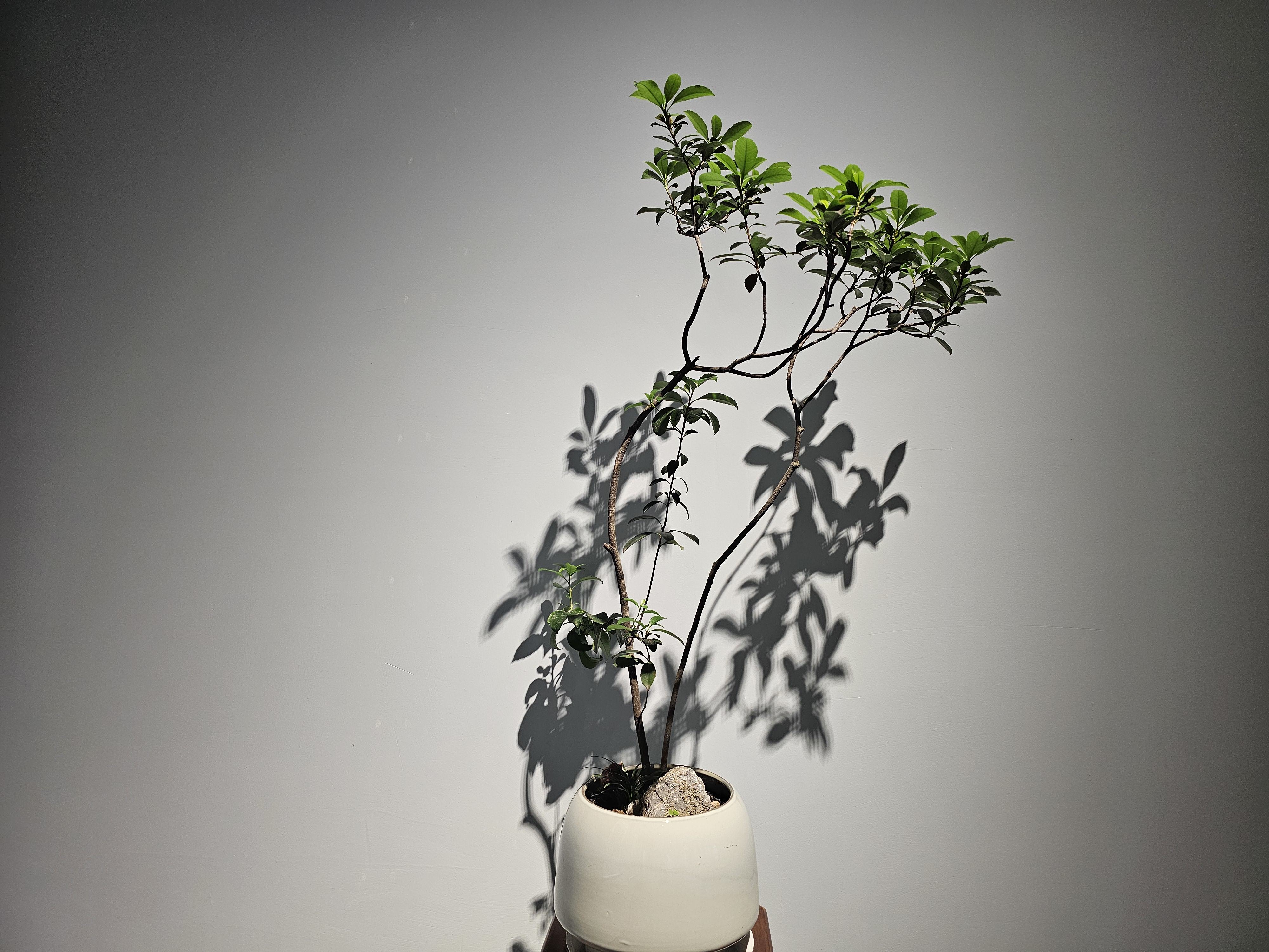 义乌美术馆一角 义乌美术馆一角