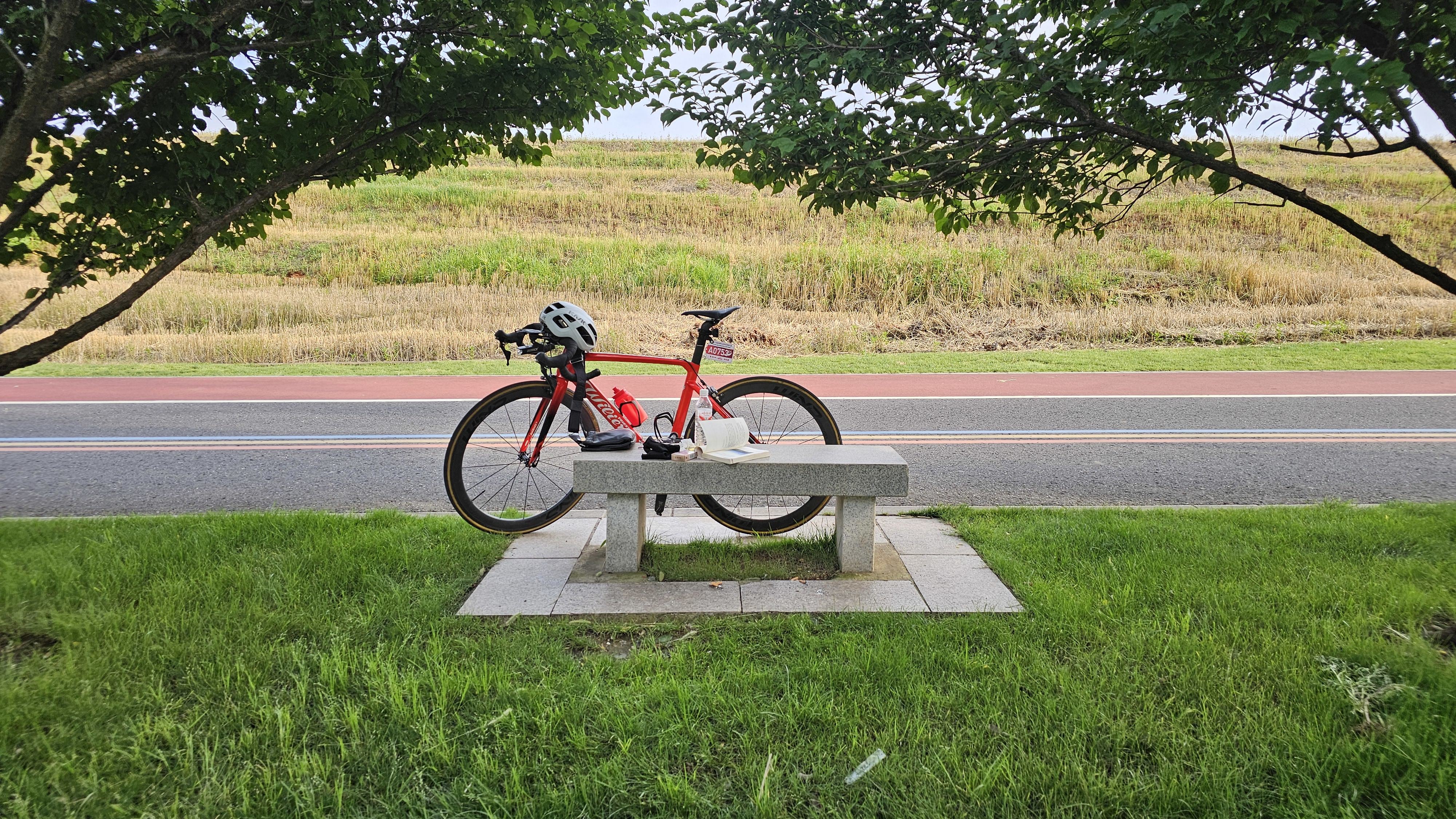 大树下看书,好不快活 大树下看书,好不快活