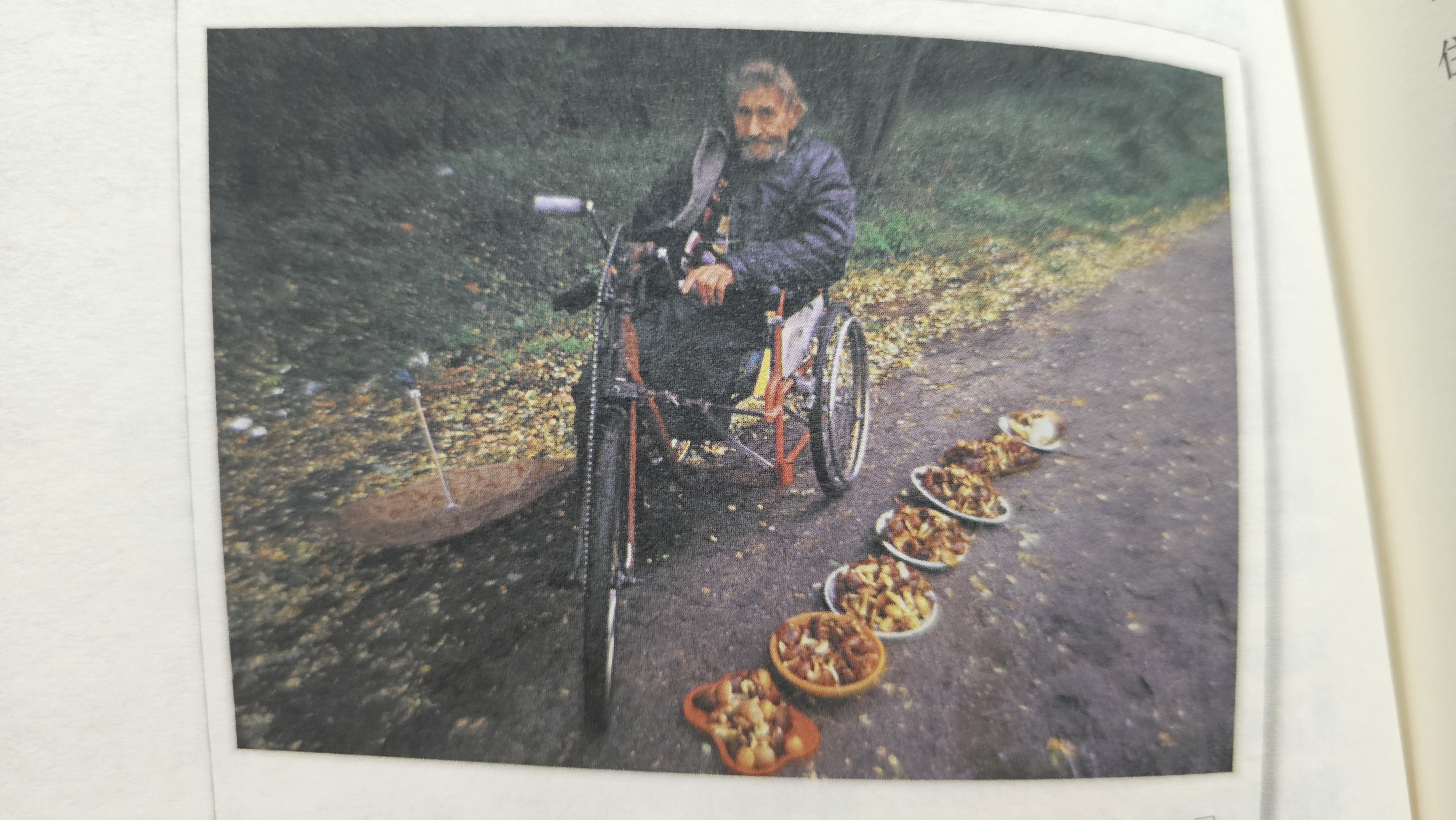 波兰,卖香菇的老伯,1997年10月 波兰,卖香菇的老伯,1997年10月
