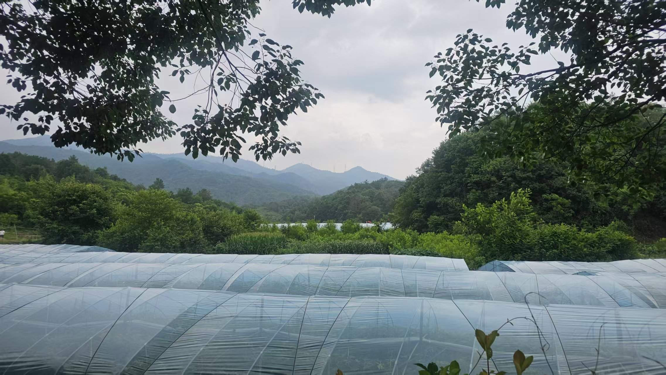 东阳市 · S217 东阳市 · S217