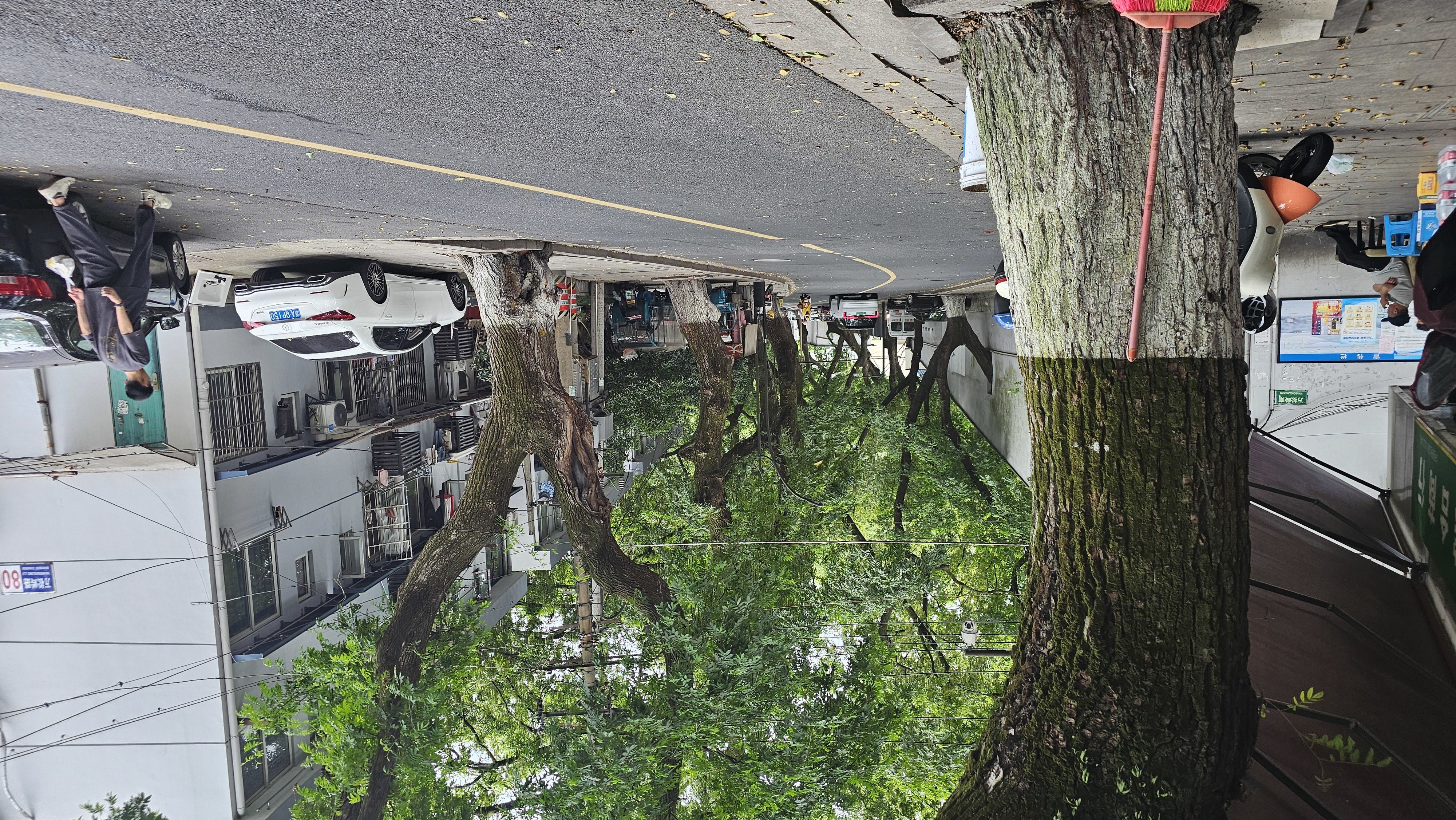 杭州,上城区,万松岭路 杭州,上城区,万松岭路