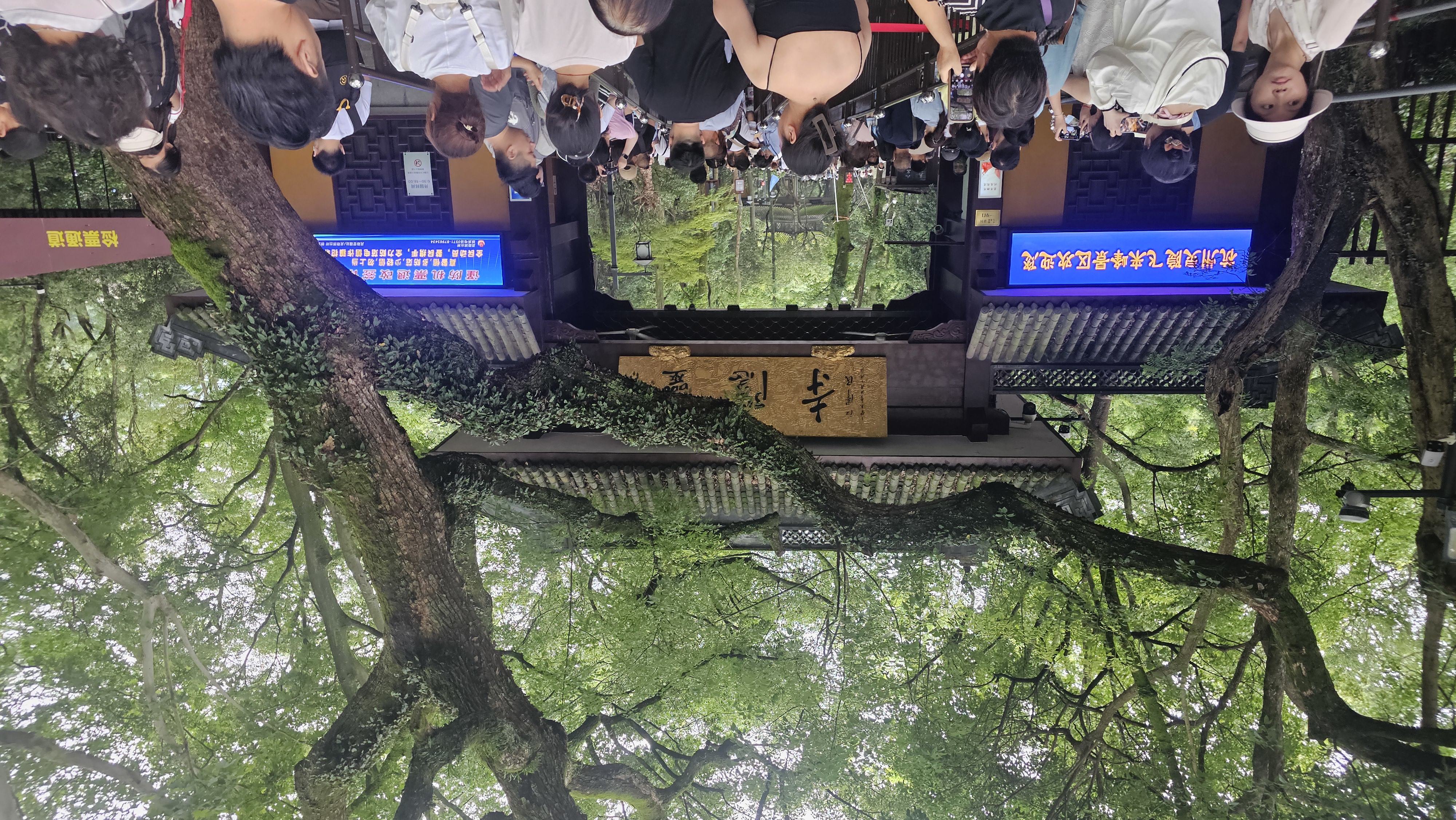 杭州西湖风景名胜区,飞来峰 杭州西湖风景名胜区,飞来峰