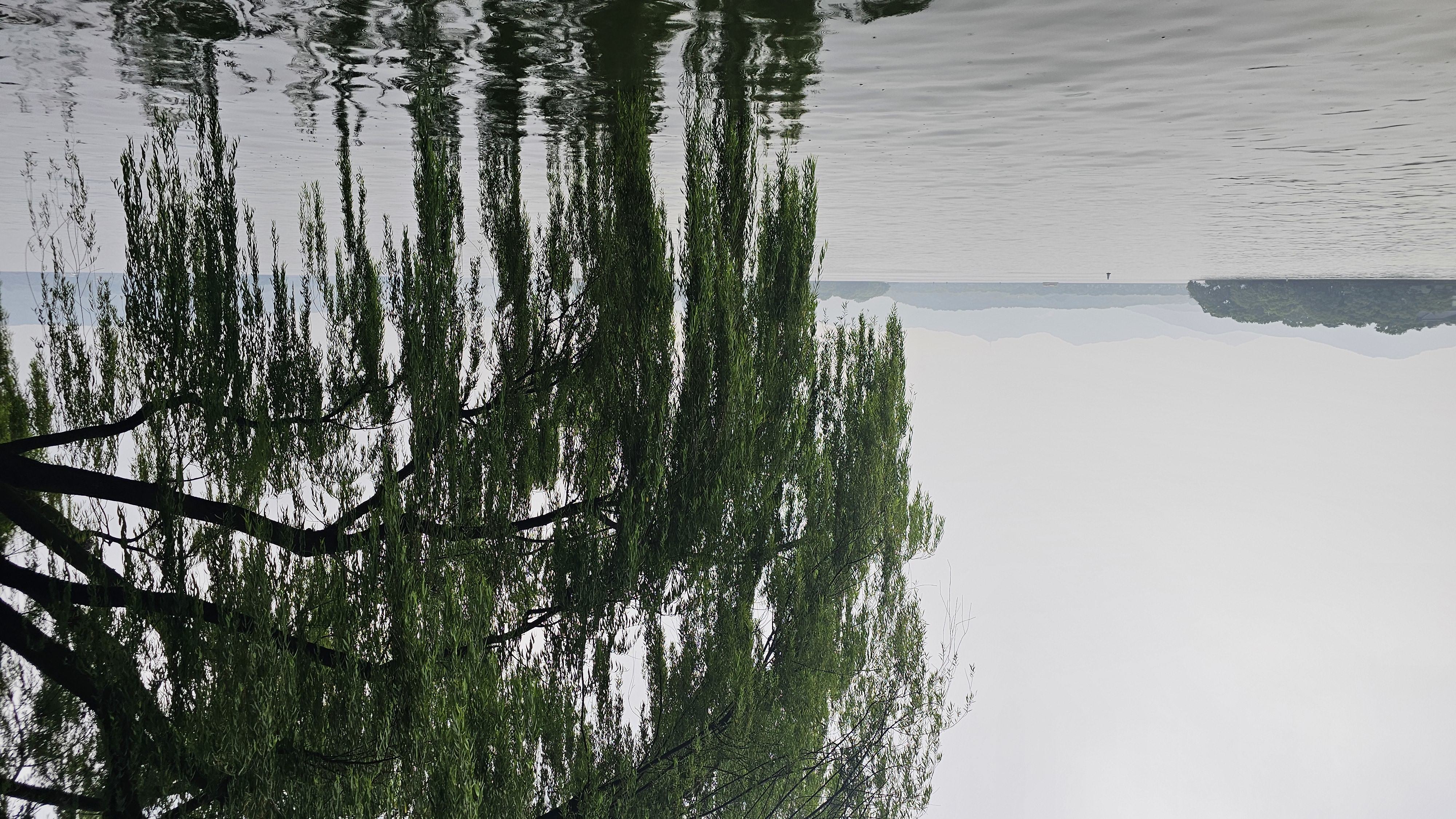 杭州西湖风景名胜区,学士公园 杭州西湖风景名胜区,学士公园