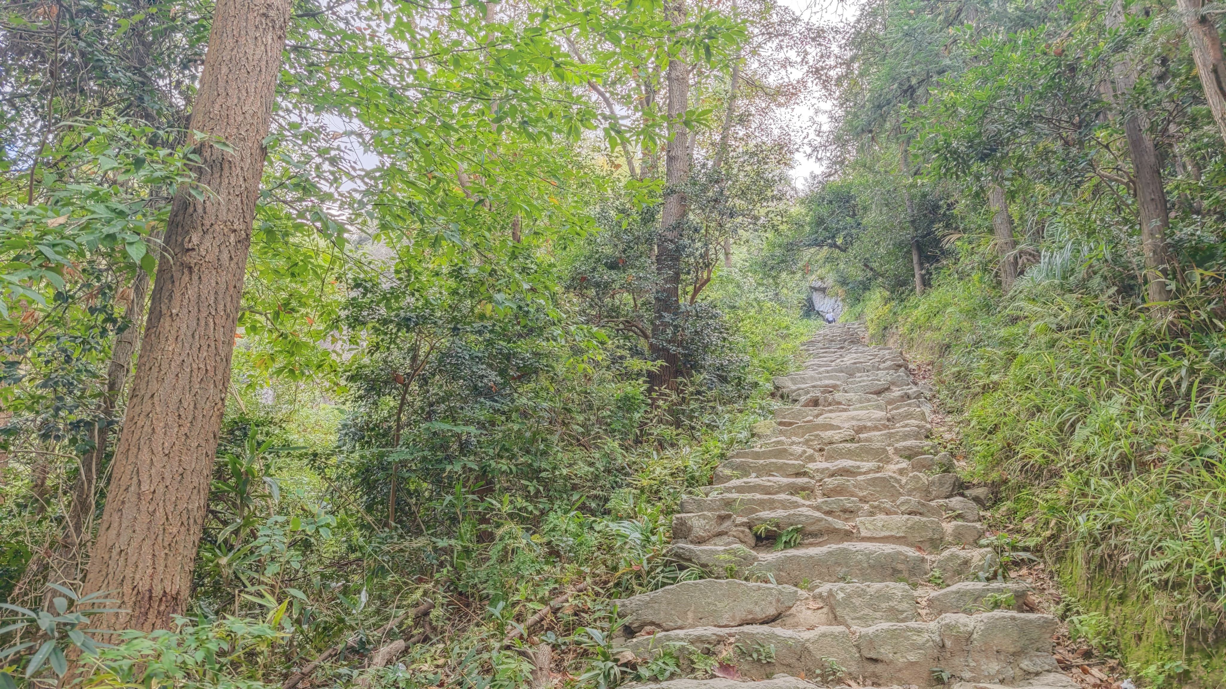 还有五分钟就到了 还有五分钟就到了