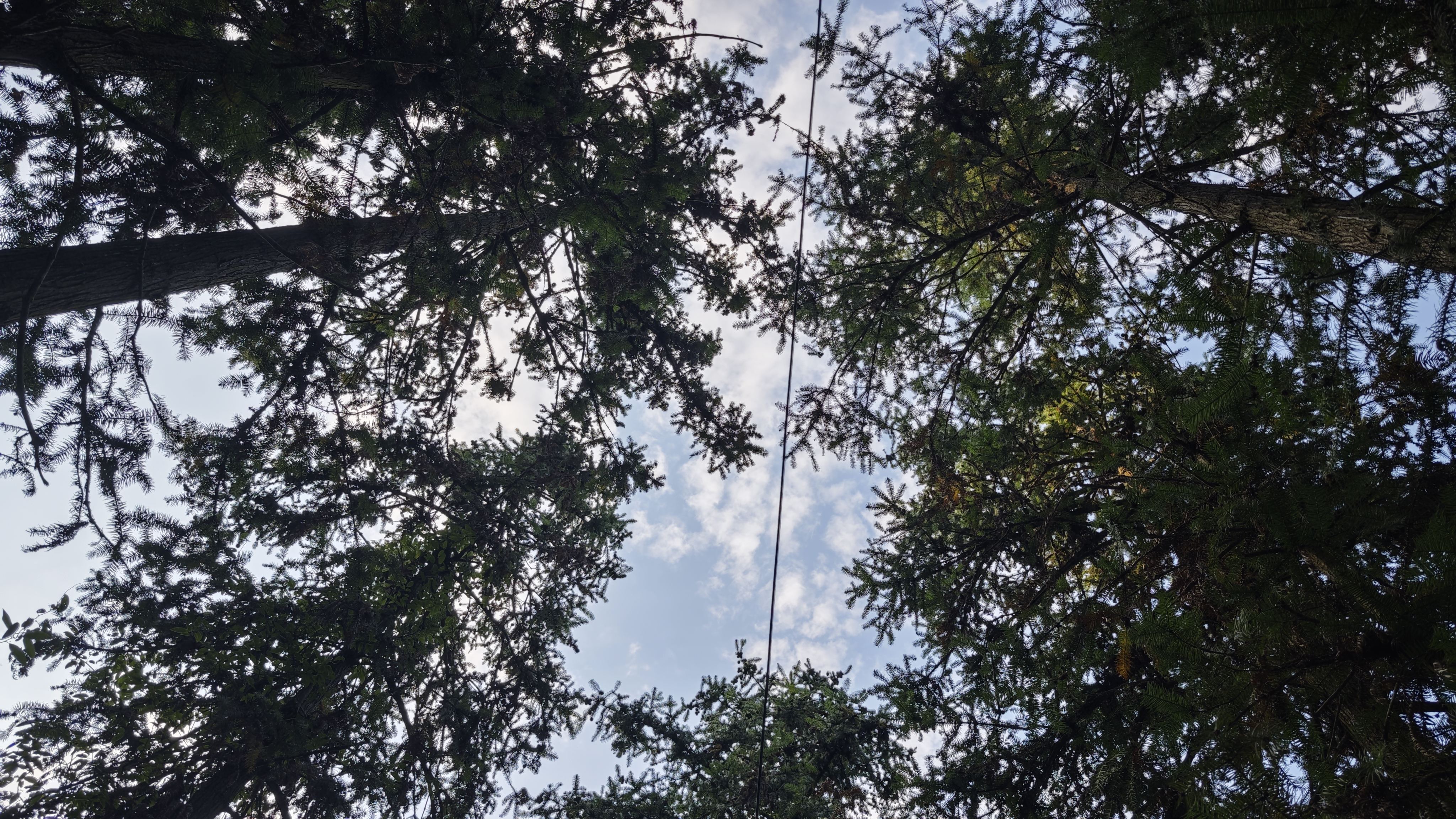 中间是根电线 中间是根电线