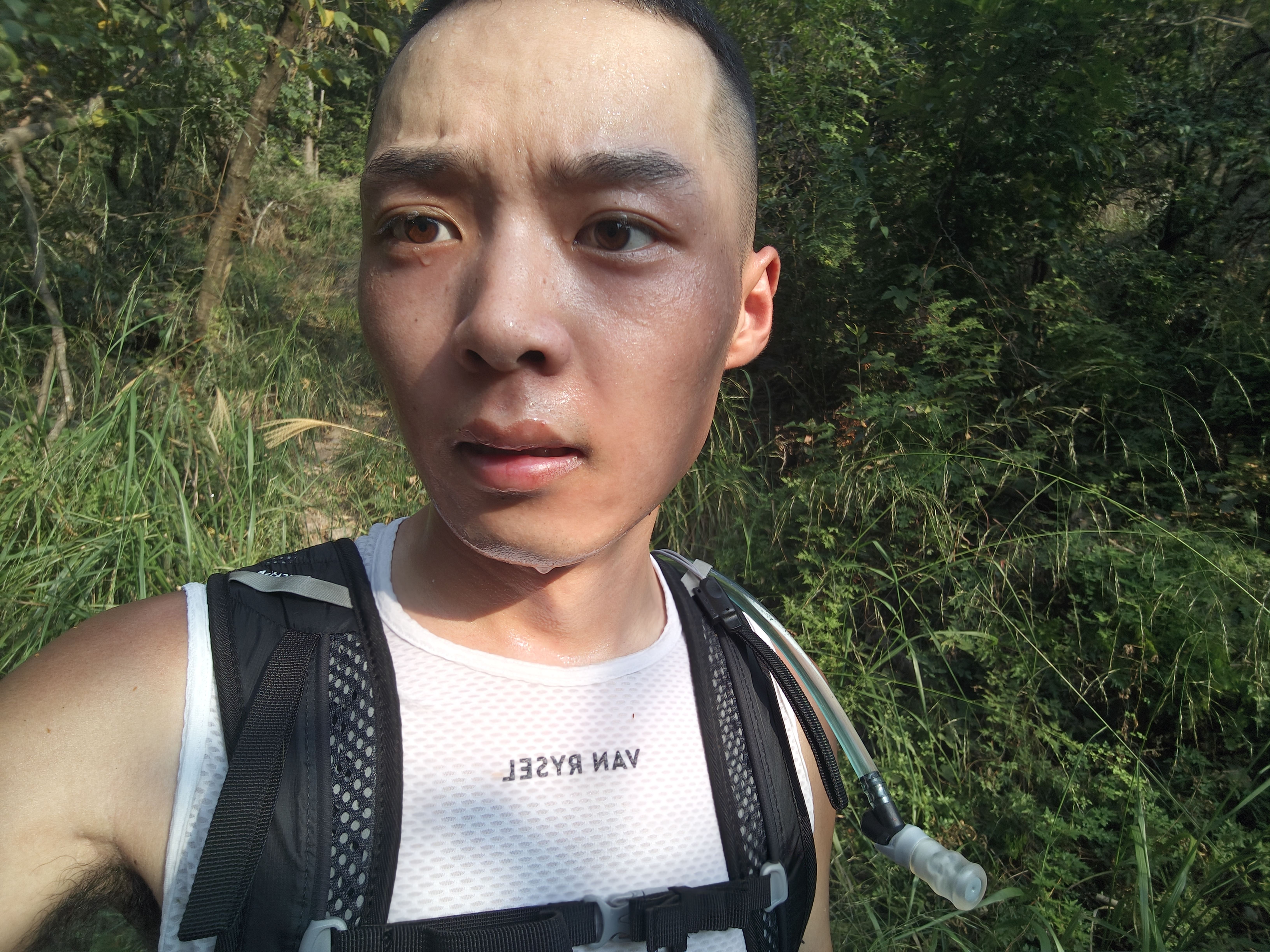 处于高心率懵逼状态 处于高心率懵逼状态