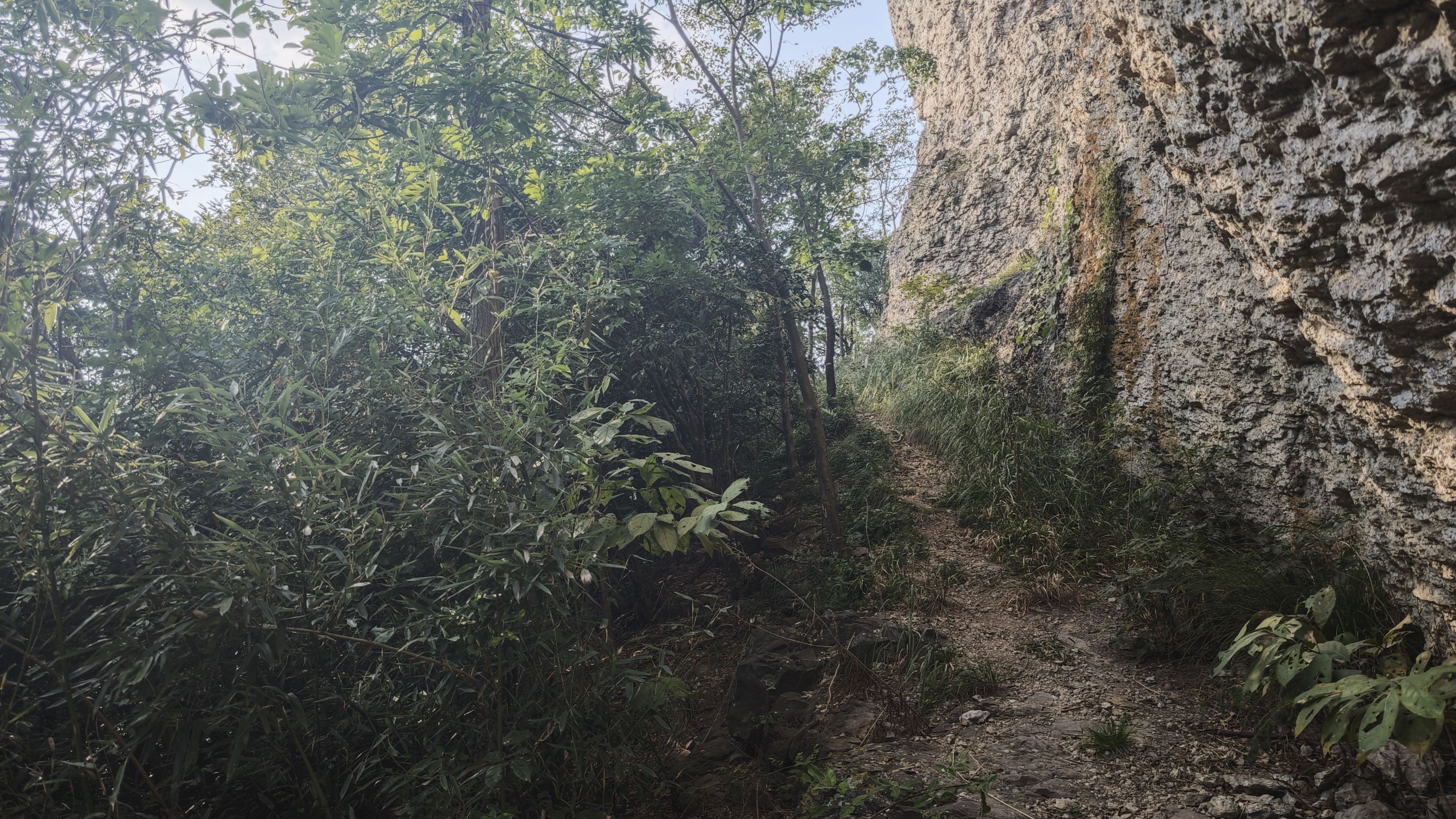 悬崖峭壁 悬崖峭壁