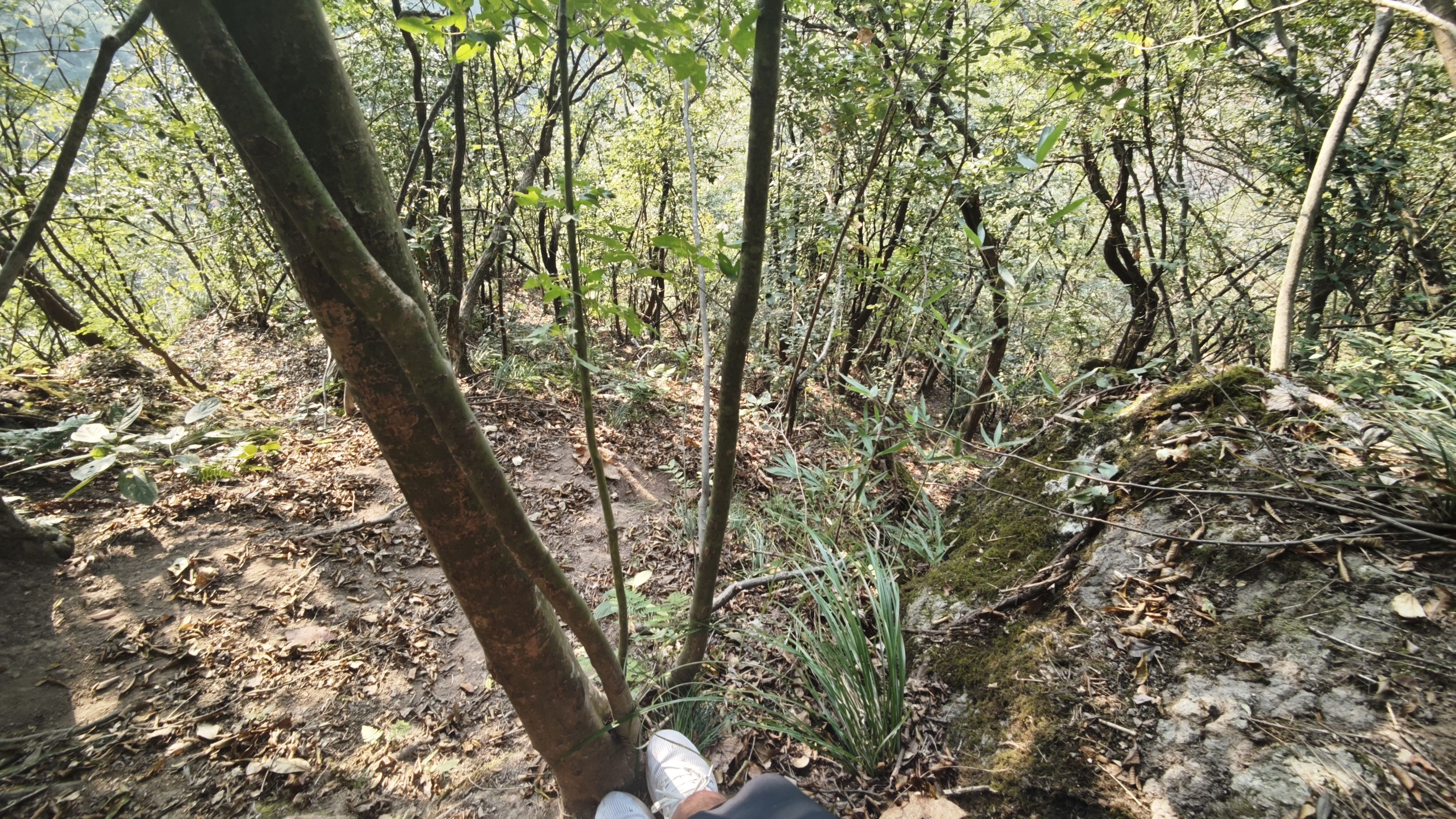 我在休息 我在休息