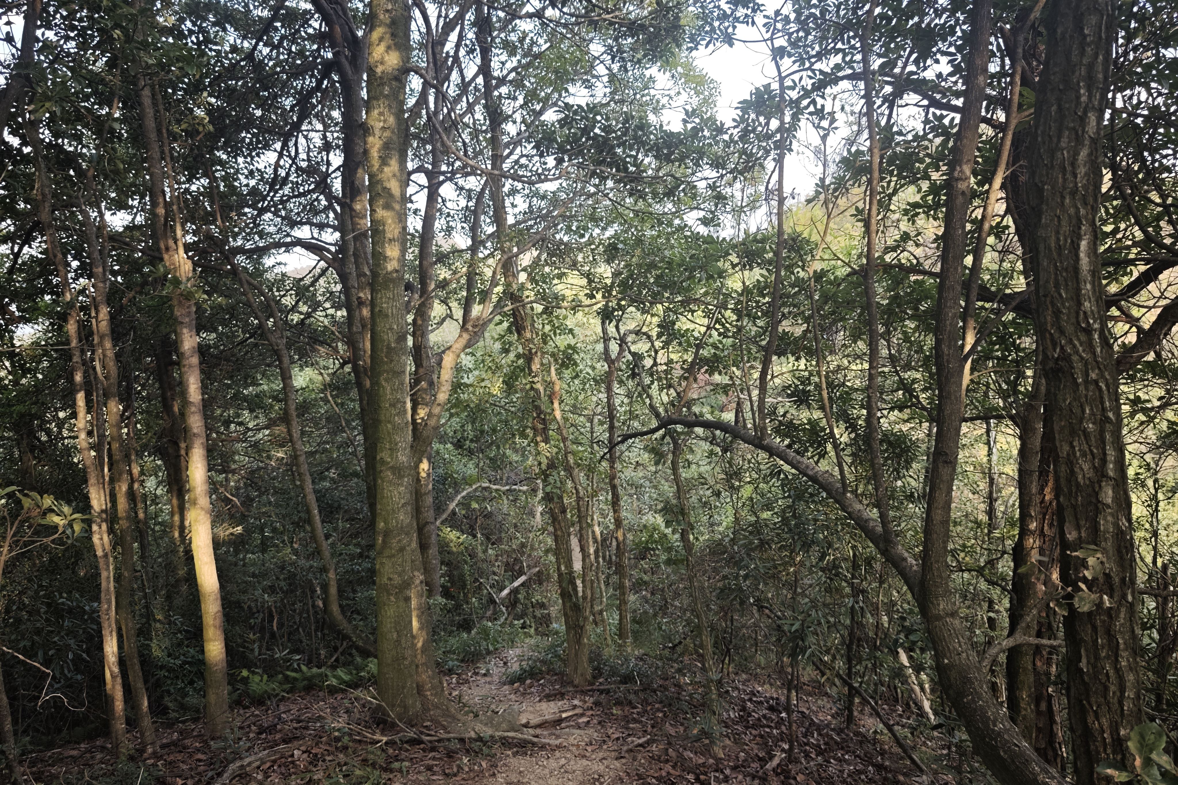 找到生路, 找到生路,