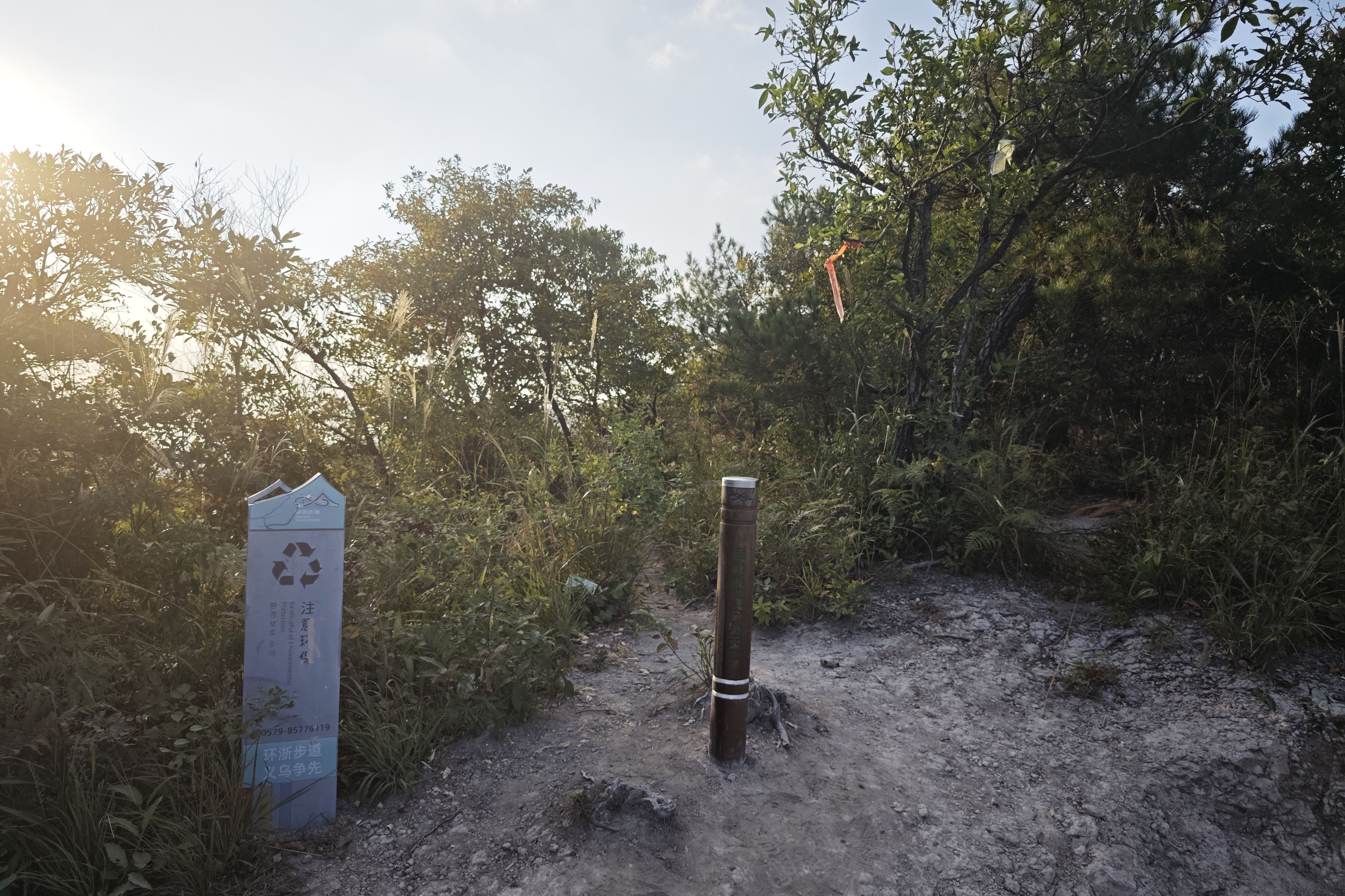 迷路方向 迷路方向